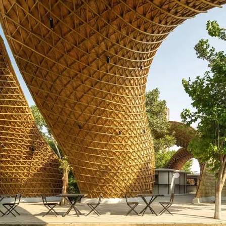 Grown, Not Quarried: Apoorva Shroff's Bamboo Gridshell at Ashoka University