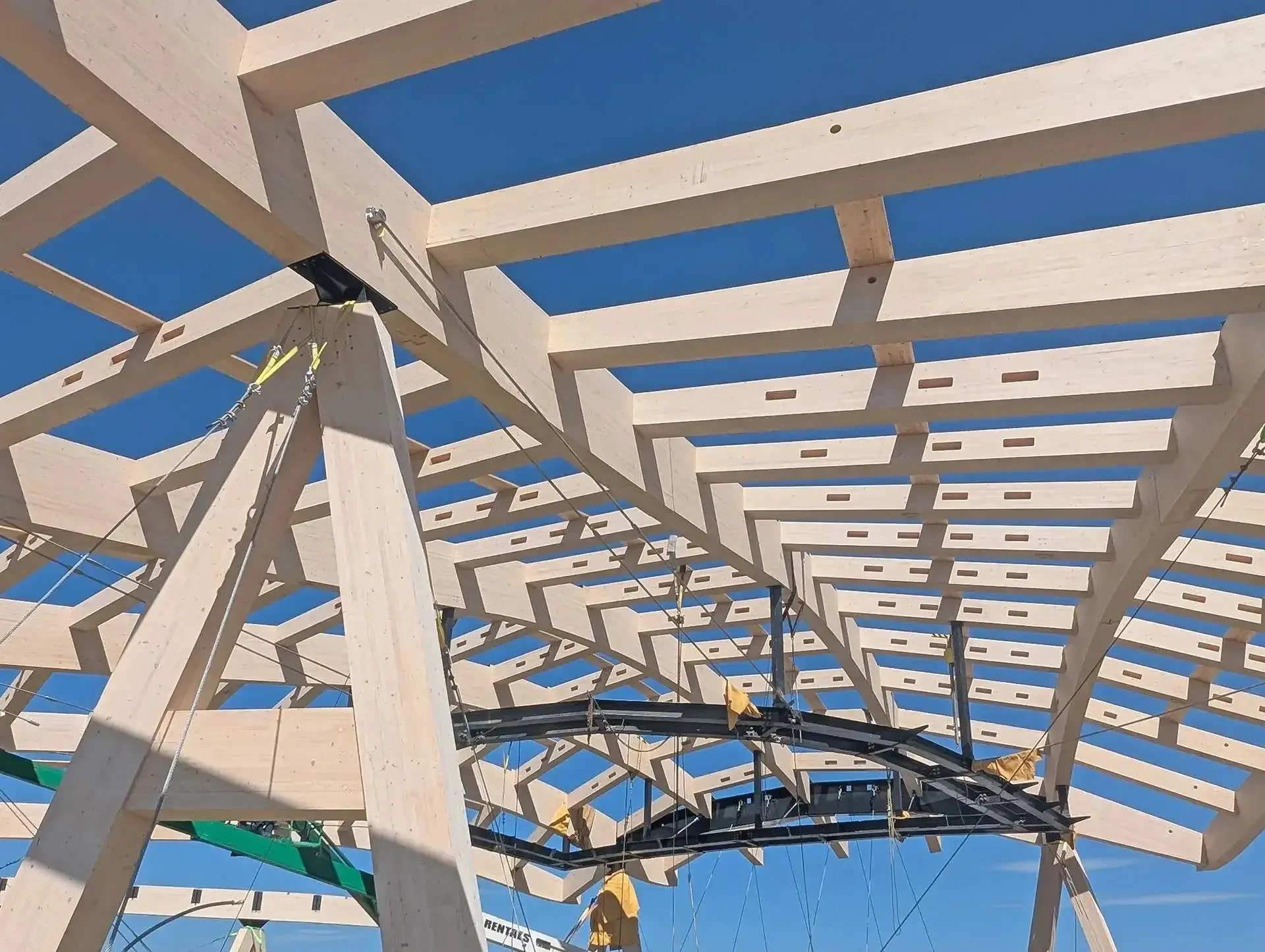 The mass-timber grid shell under construction — engineering precision given an almost organic silhouette. Photo: Studio Gang.