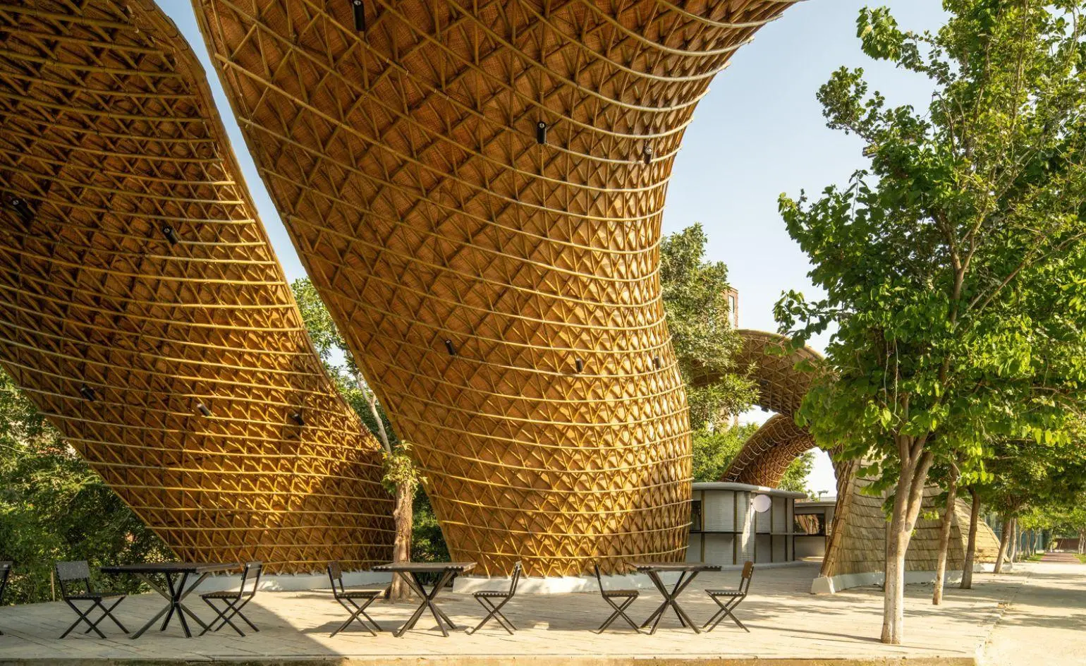 Grown, Not Quarried: Apoorva Shroff's Bamboo Gridshell at Ashoka University