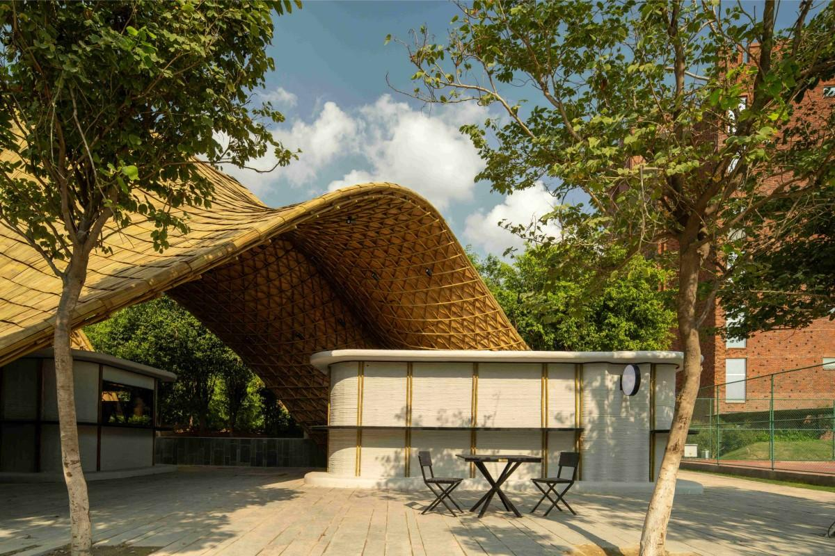 Grown, Not Quarried: Apoorva Shroff's Bamboo Gridshell at Ashoka University — additional view