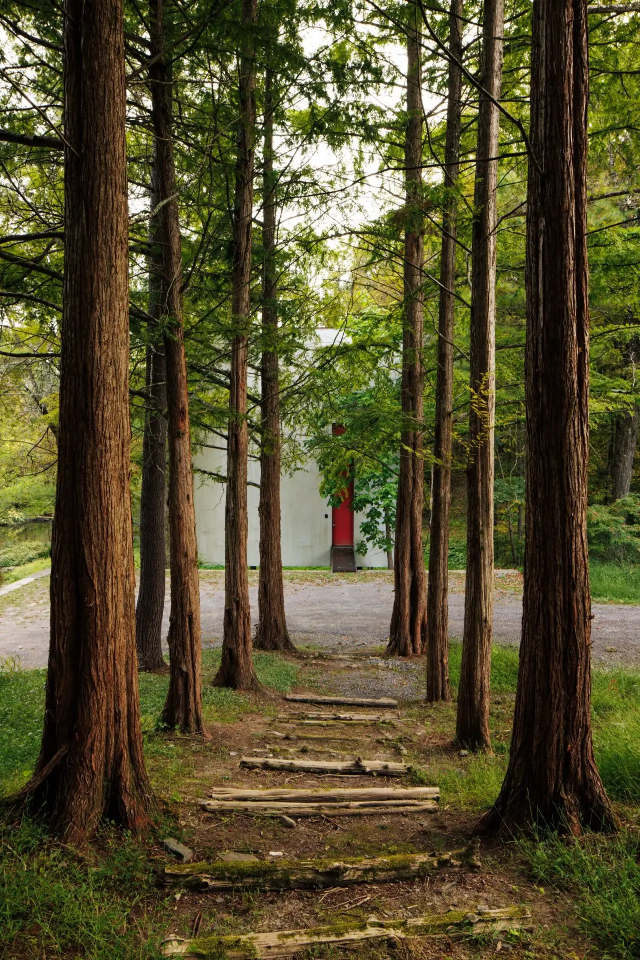 Stone paths and a grove of tall trees lead between buildings — arrival treated as a slow, deliberate passage. Image courtesy of Upstate Down.