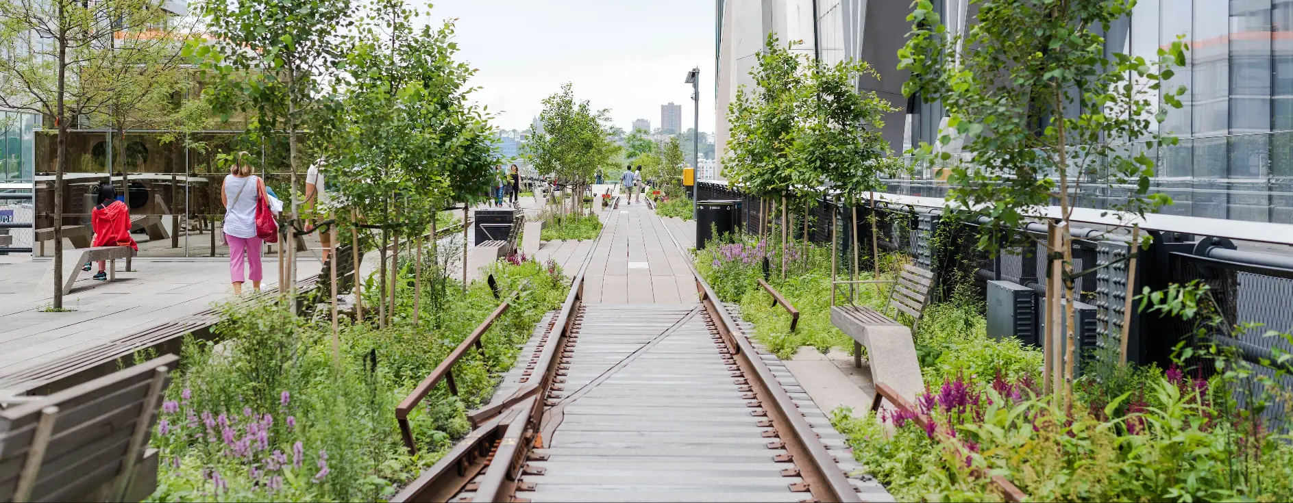 The High Line Effect: How an Abandoned Railway Rewrote City-Making