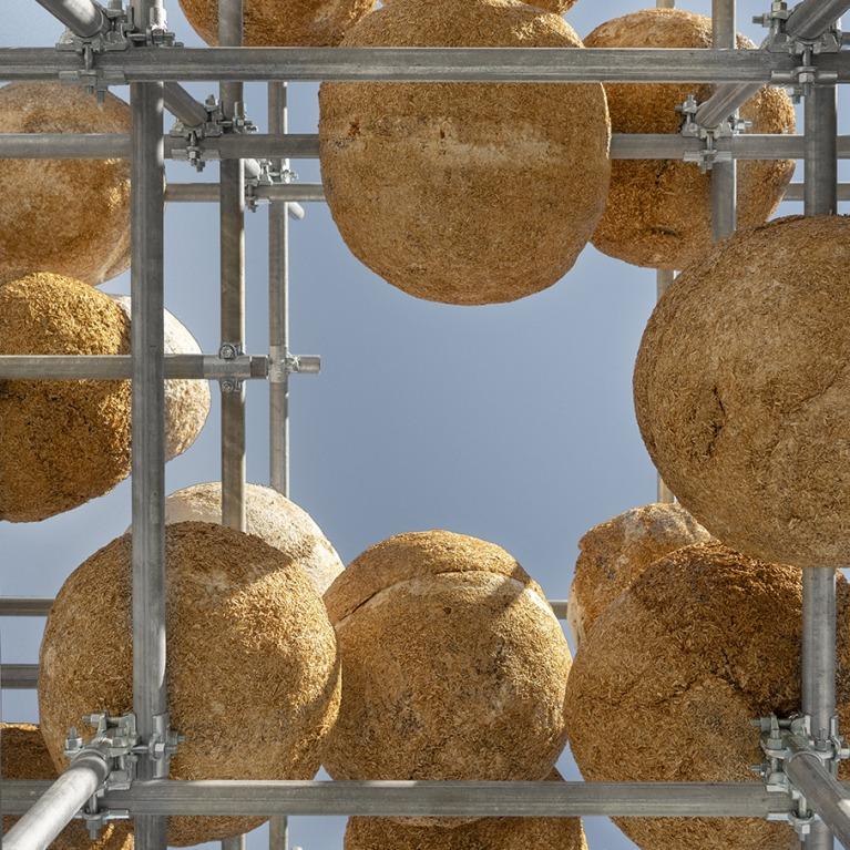 Growing Matter(s): When Architecture Begins to Grow — additional view